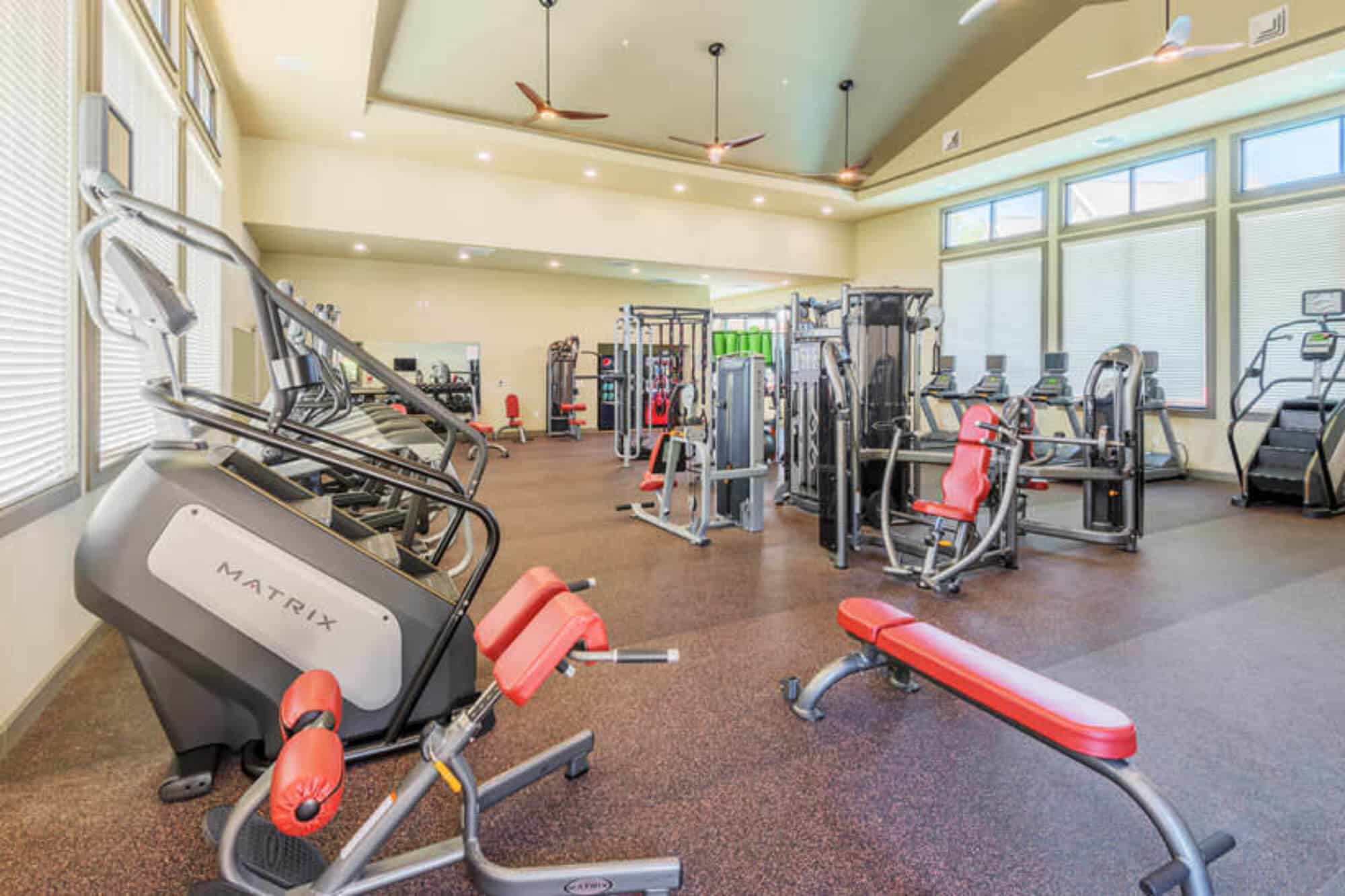 millenium one off campus apartments near the university of north carolina charlotte unc charlotte uncc professional fitness center with xlab crossfit
